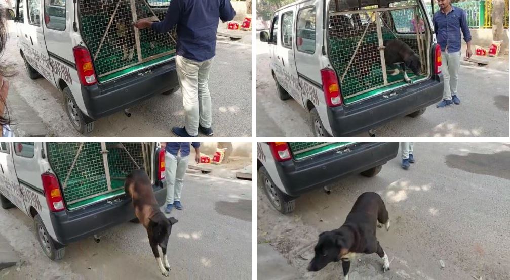 Tommy released after treatment by Saturn Dess Foundation