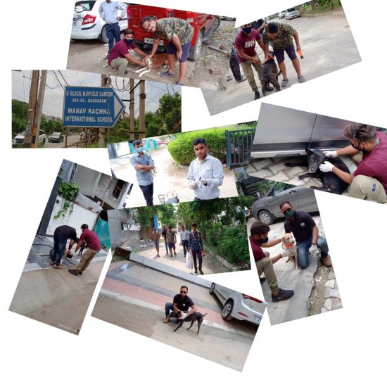 WhatsApp Image 2021-09-04 at 4.24.07 PM